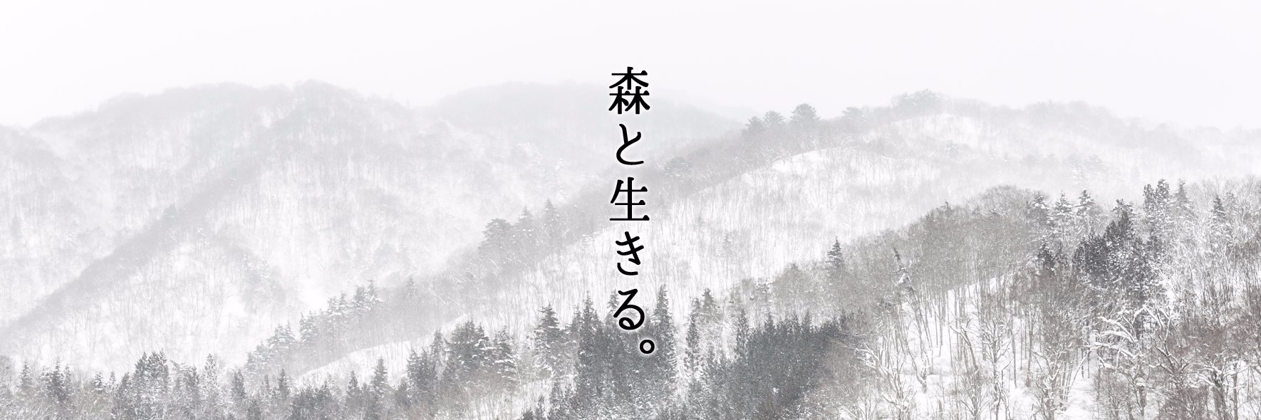 BushCraftJP's profile banner image