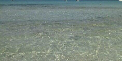Noelia Amaya banner