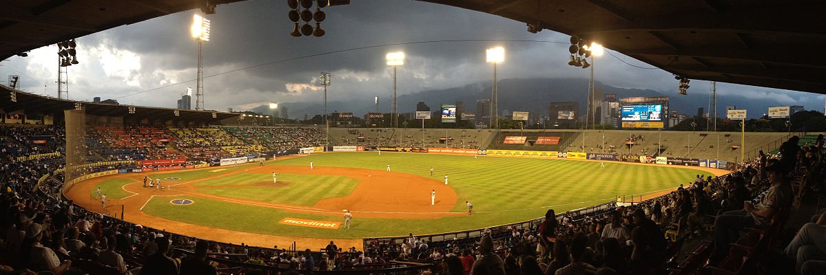 Leones del Caracas banner