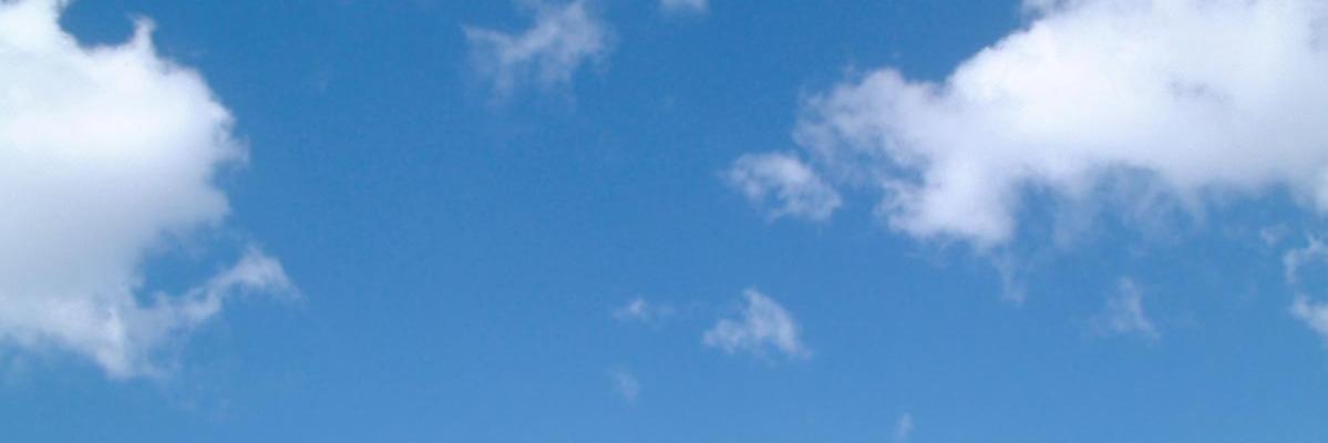 Natalia Rubio banner