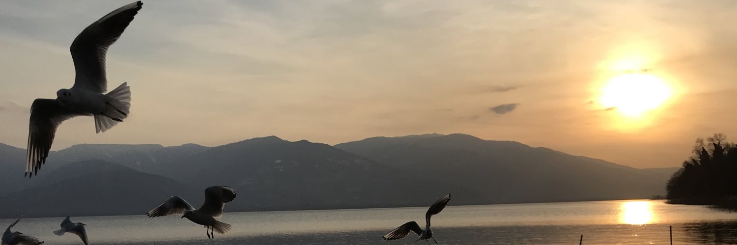 penguen1111's profile banner image