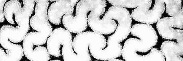 _aliharden's profile banner image