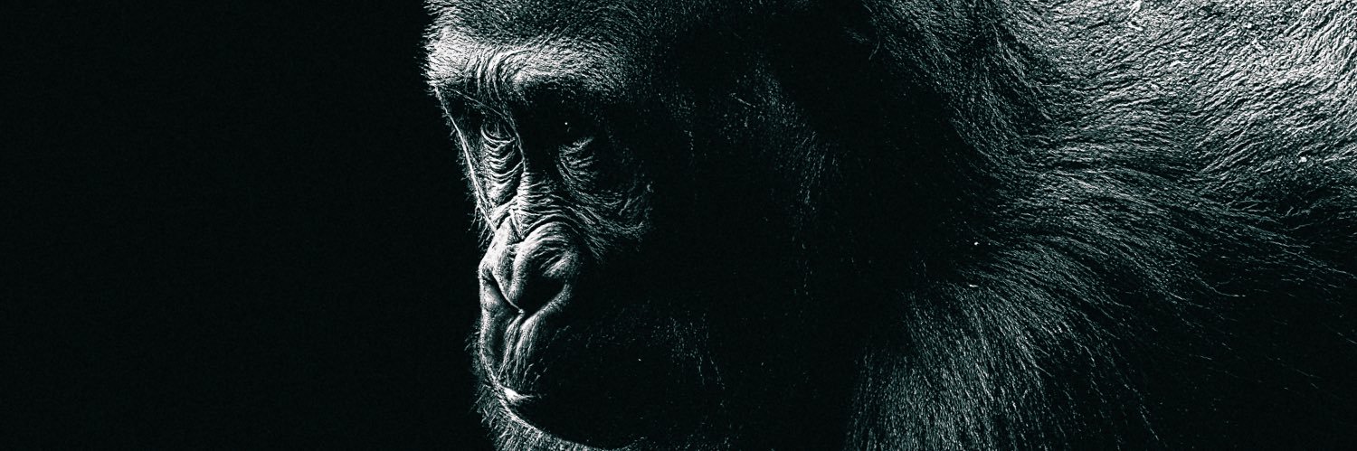 TuddyMar's profile banner image