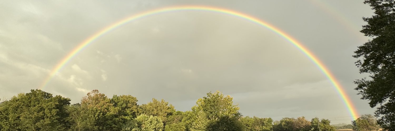 pattibtaylor's profile banner image