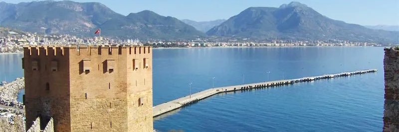  Call me D.  banner