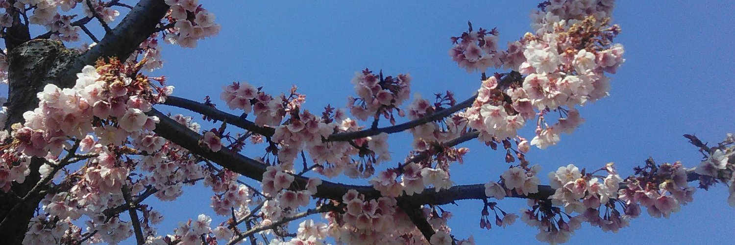 beeren_'s profile banner image