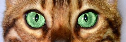 eruptiong's profile banner image