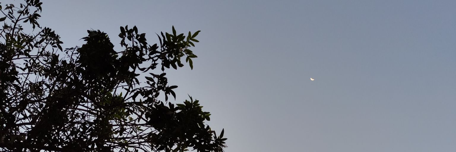 _venusty's profile banner image