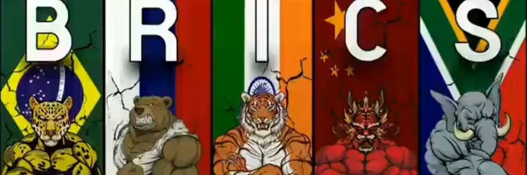 amilcarmpf's profile banner image
