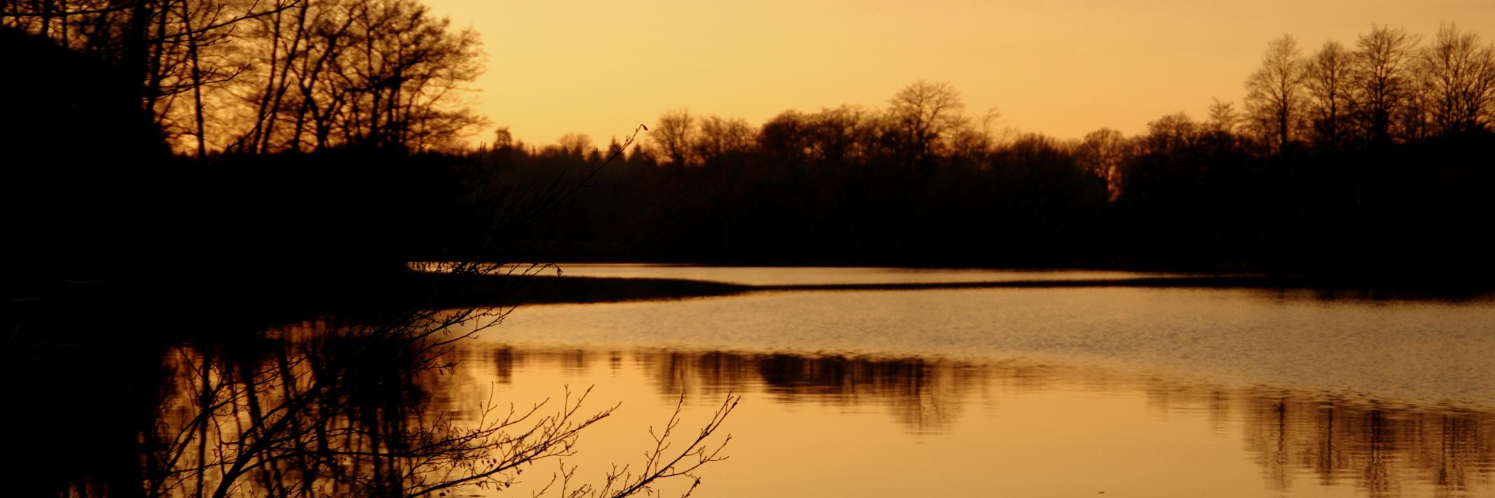 RupertJanisch's profile banner image