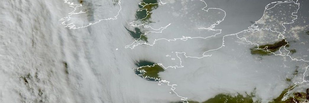 🦆 SackripanT 🦆 banner