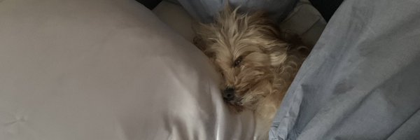 hannahcasting Profile Banner