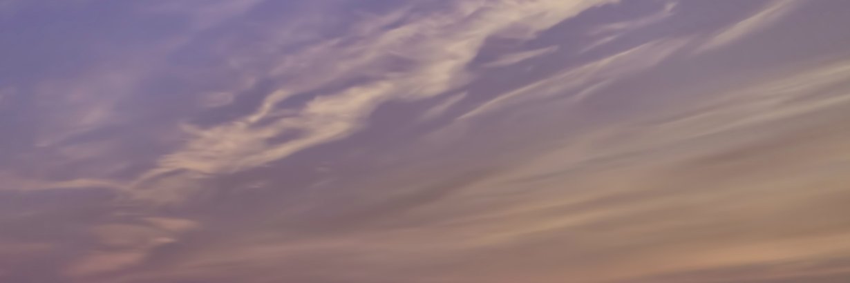 Nemo Claudit banner