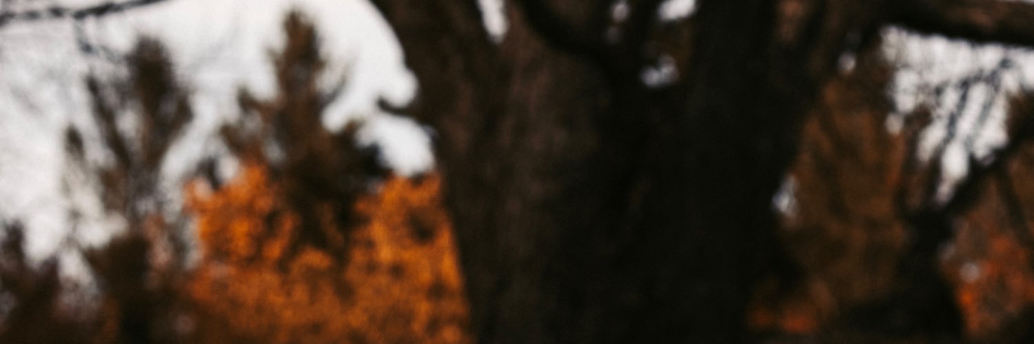 lily banner
