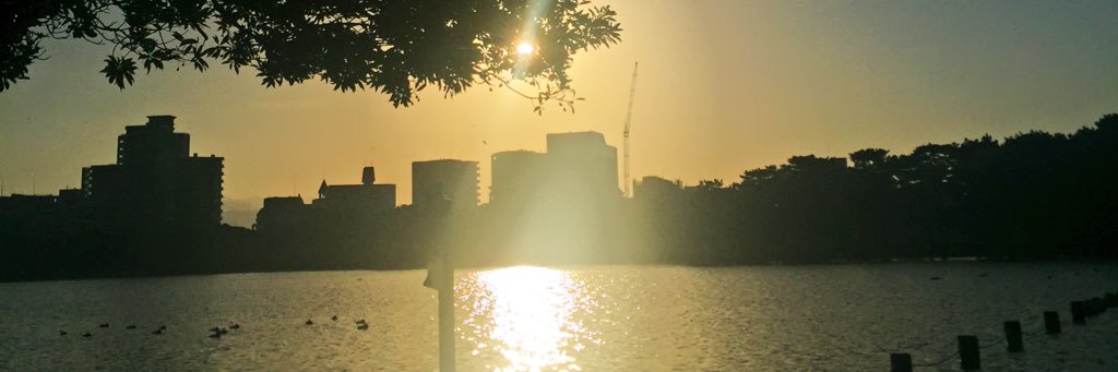 rrnnkkcc's profile banner image