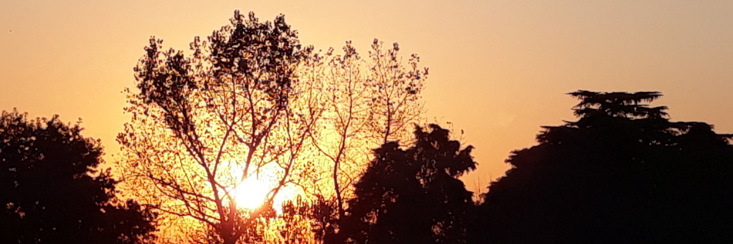 UcrRoss's profile banner image