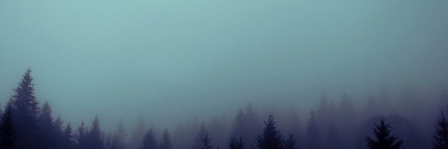 great_greyson's profile banner image