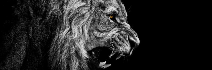 Britney_G23's profile banner image