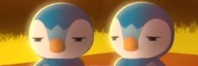 sallukkacos's profile banner image