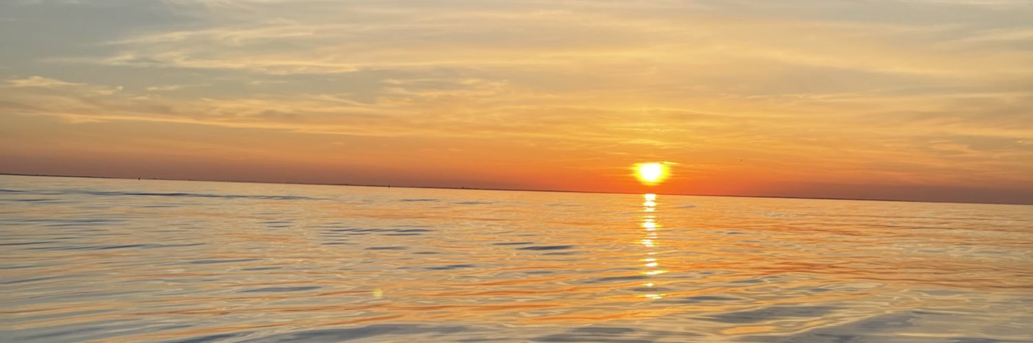 GEM. banner