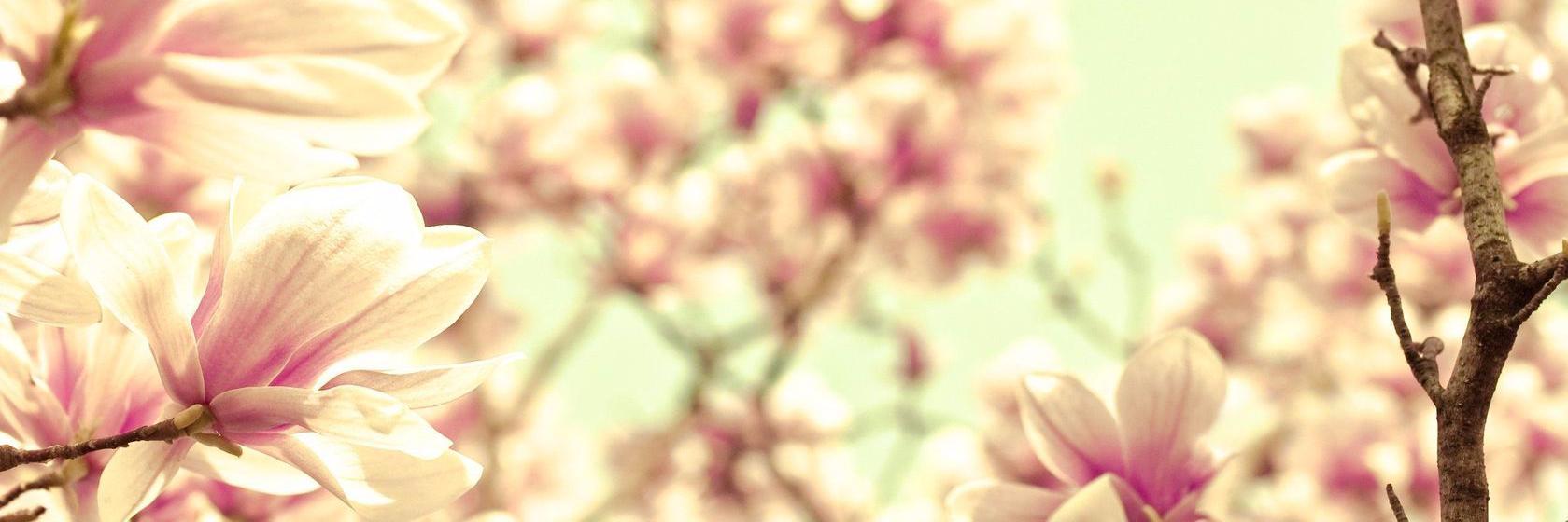 MilleMarieK's profile banner image