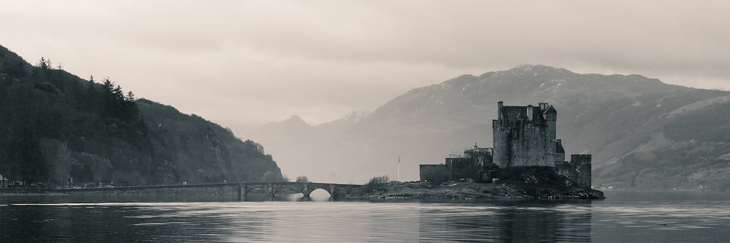 NetSpark banner