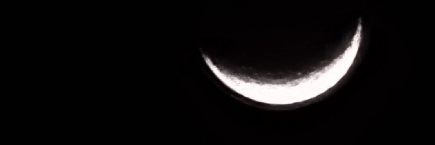 lygos_'s profile banner image
