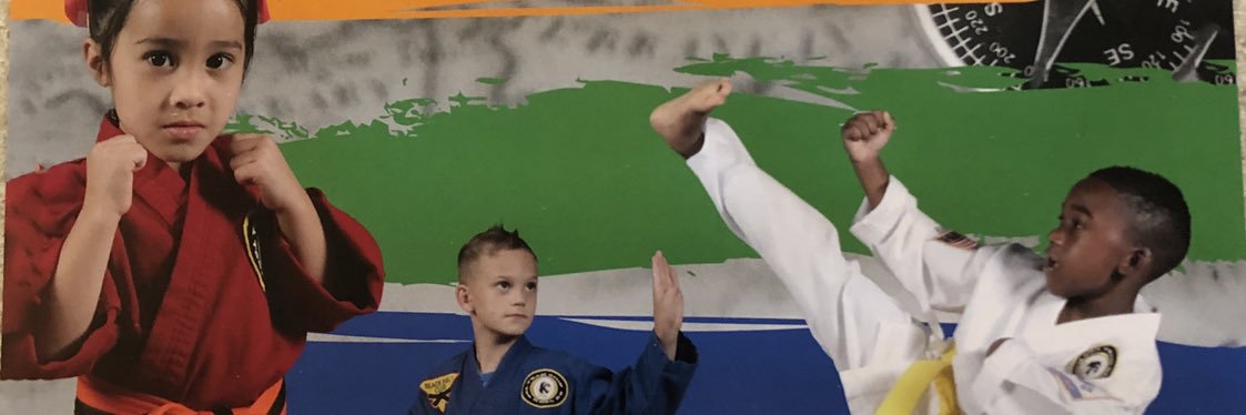 teamchiptkd's profile banner image