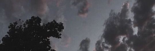 ThickCockroach's profile banner image