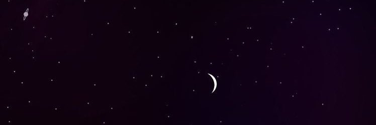 W banner