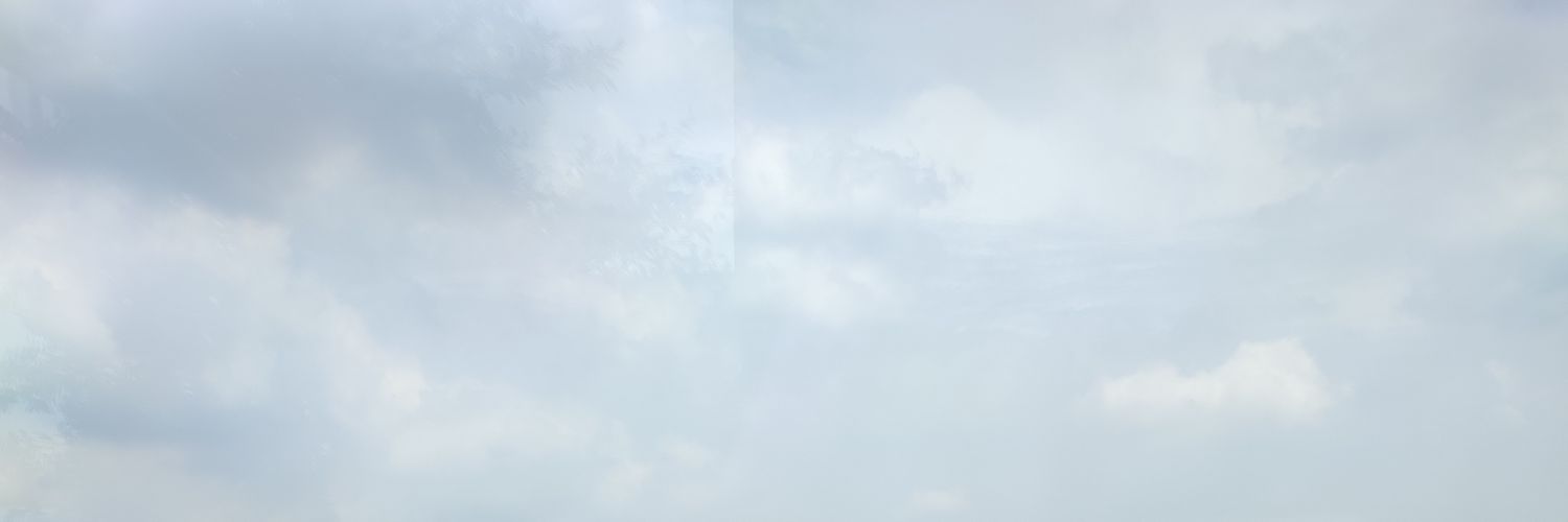 nurmae's profile banner image