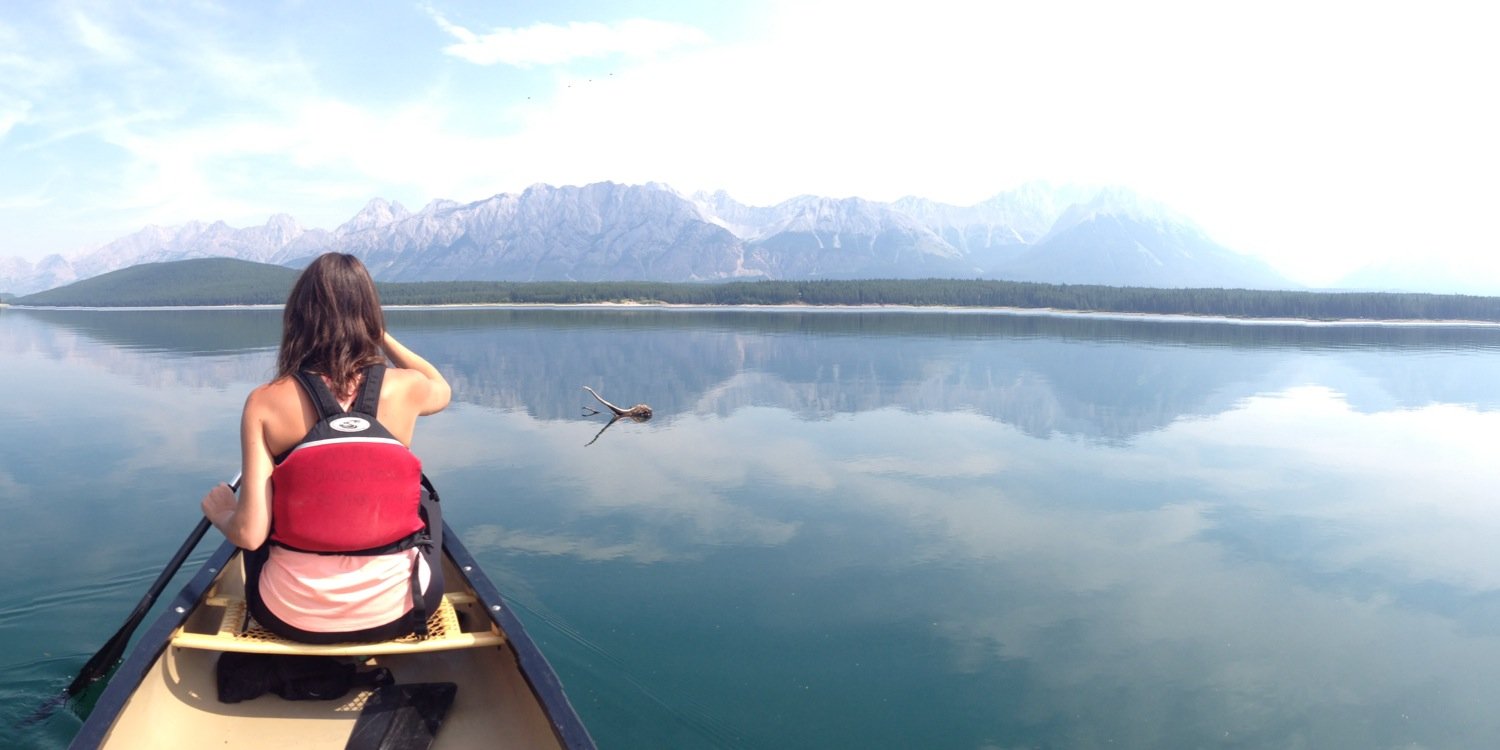 AlliFraser's profile banner image