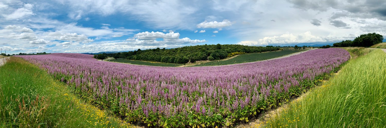 Stéphanie Challita banner