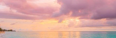 Kacie_Latin's profile banner image