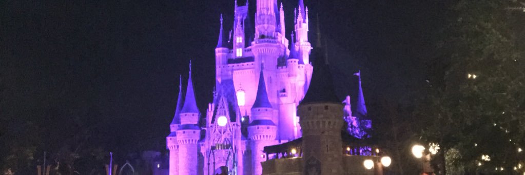 NMalesky's profile banner image
