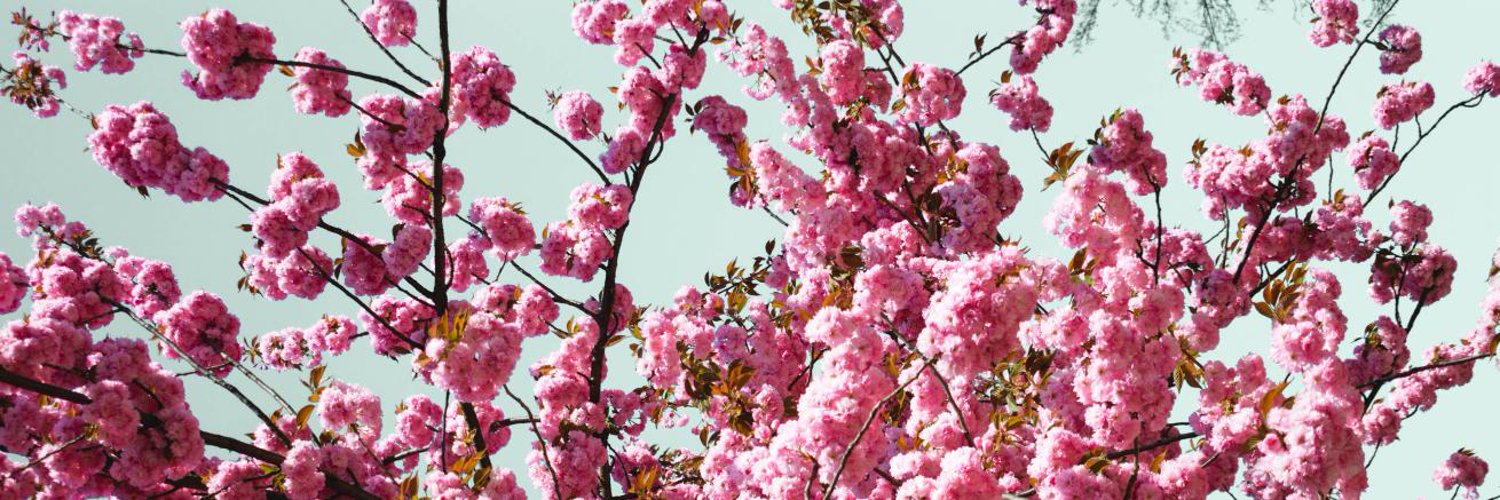 sebasuuu_'s profile banner image