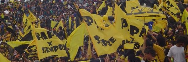 el genio banner