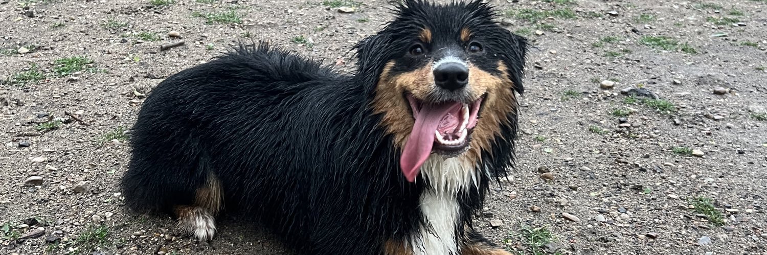 lindsay 🏳️‍🌈 banner