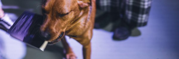 kaylatmf Profile Banner