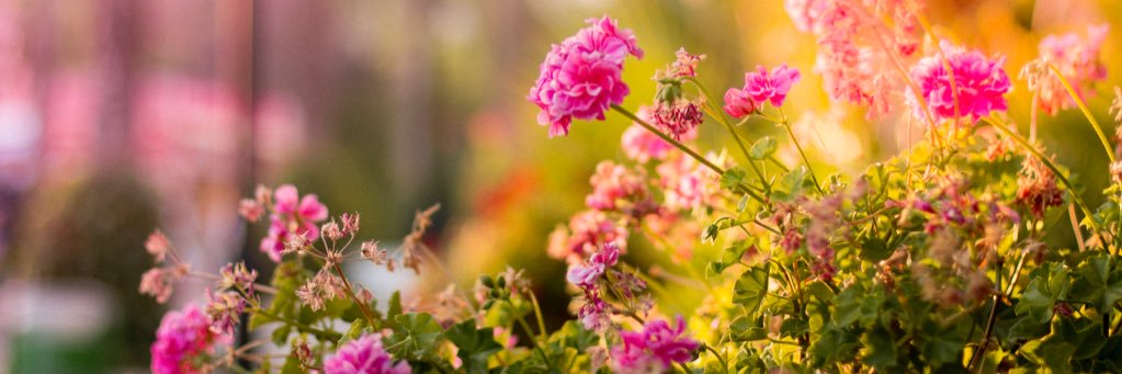 aprilpatio's profile banner image