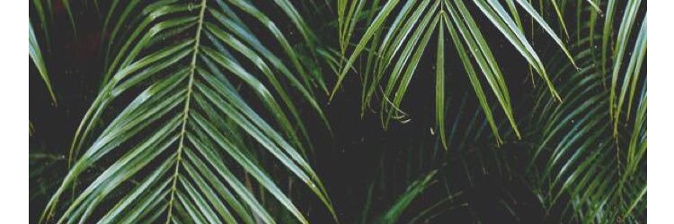 adwalahgh's profile banner image