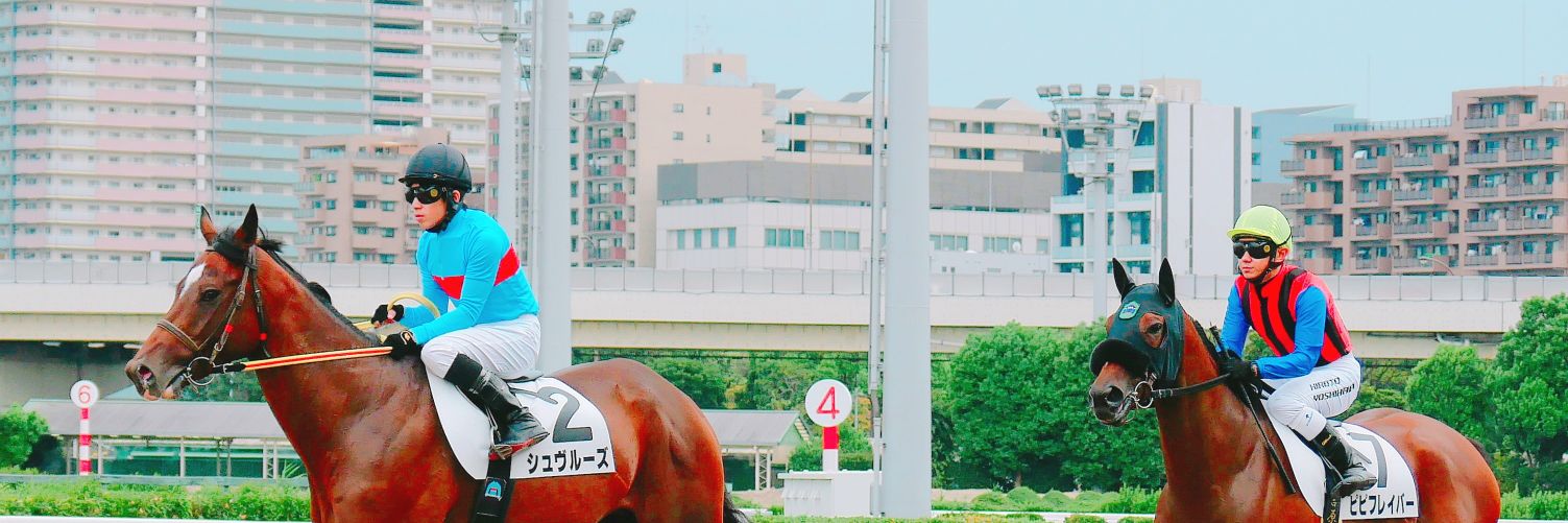 TCKdamashii's profile banner image