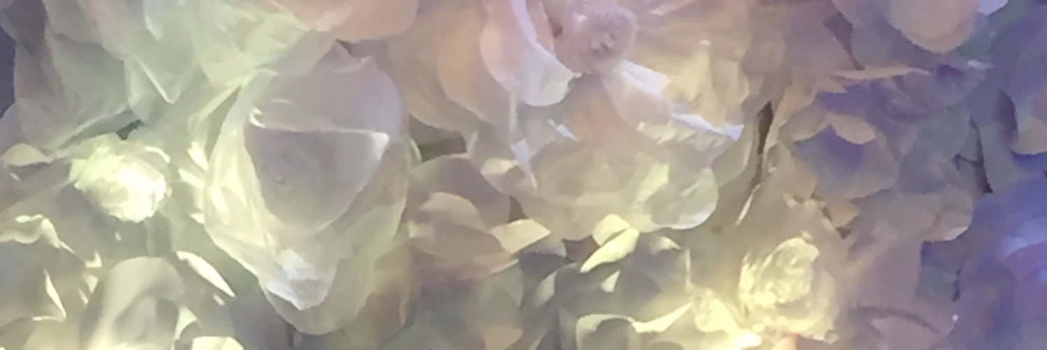 restapinol's profile banner image