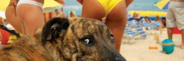 simongomez1972 Profile Banner