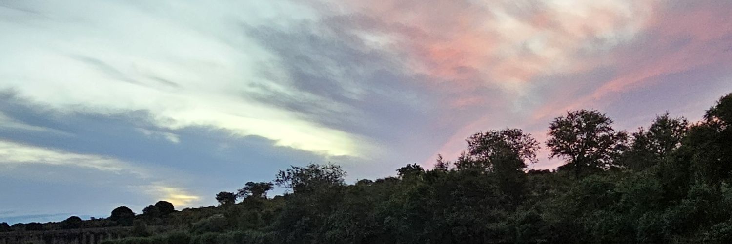 bobbysuzzie's profile banner image