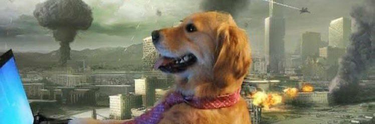 lifeofroop's profile banner image