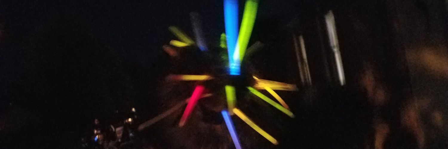 TheAngryBiddy's profile banner image