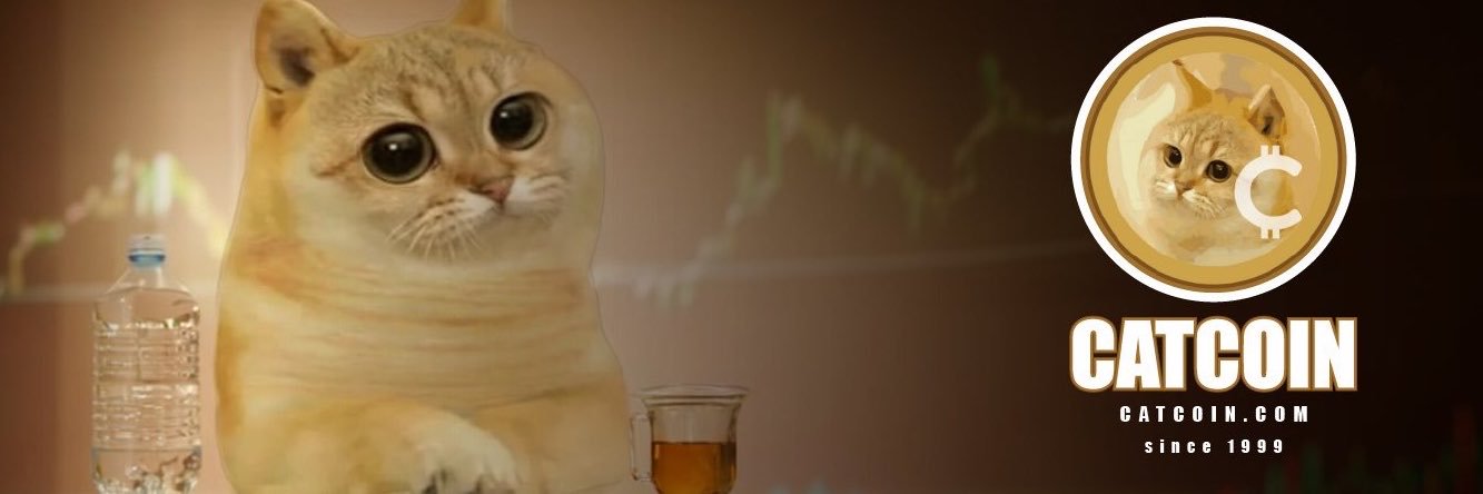 Catcoin_Chat's profile banner image