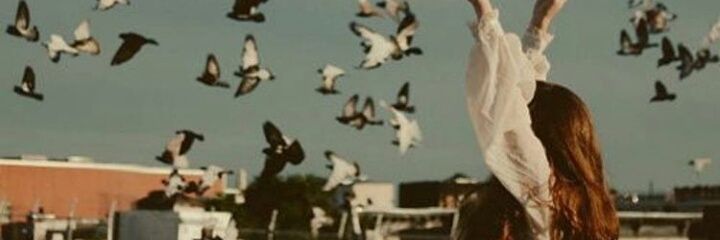AmandaDuin's profile banner image