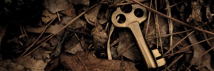 euphemiapotter_'s profile banner image